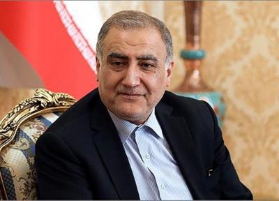 گروه دوستی پارلمانی ایران با وزیر خارجه گرجستان دیدار کرد