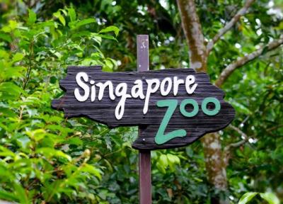تور سنگاپور: جاذبه های سنگاپور